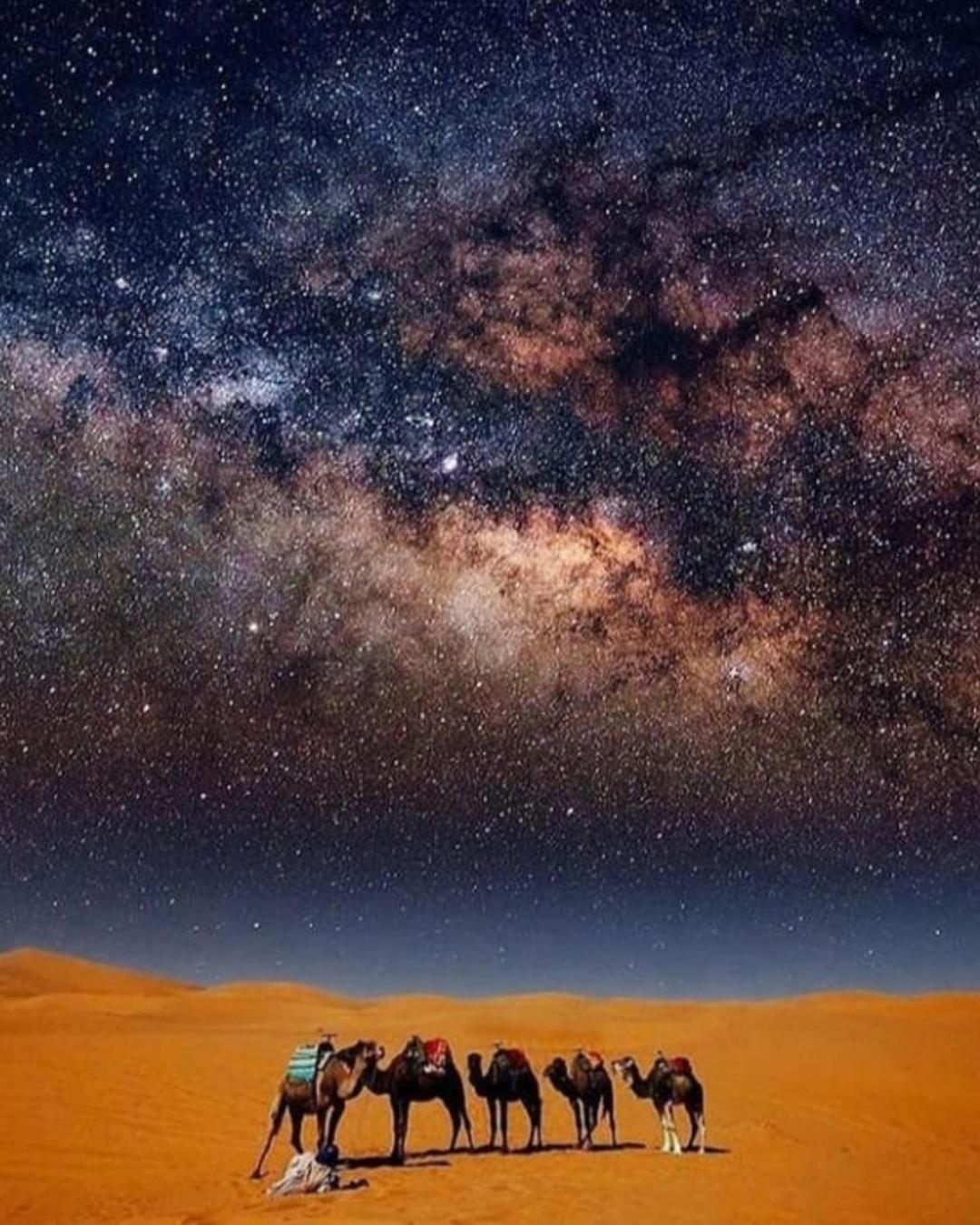 Overnight Desert Camp Merzouga Εξωτερικό φωτογραφία